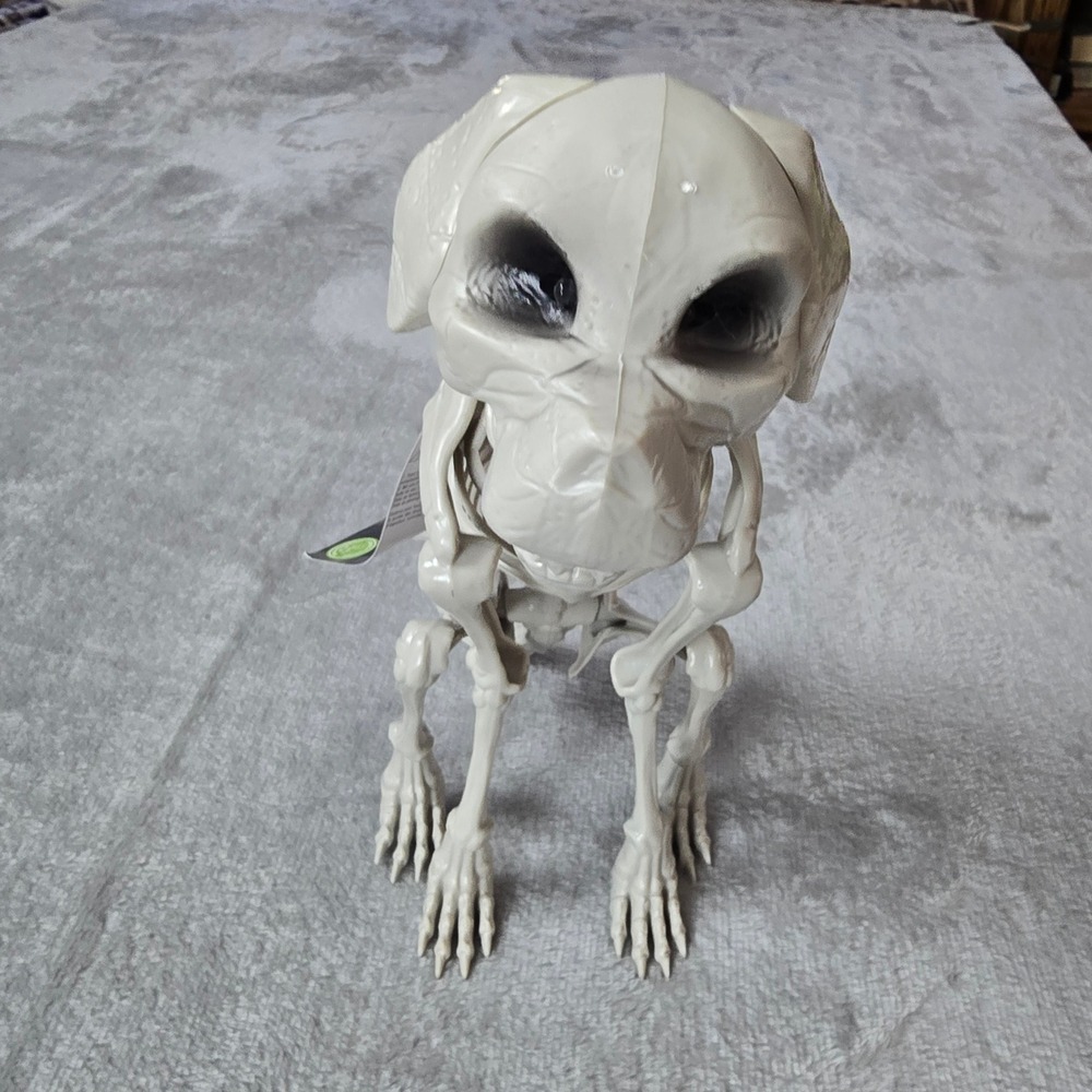 Seasonal Collection Motion Activated Halloween Skeleton Dog Lights Sound 11in